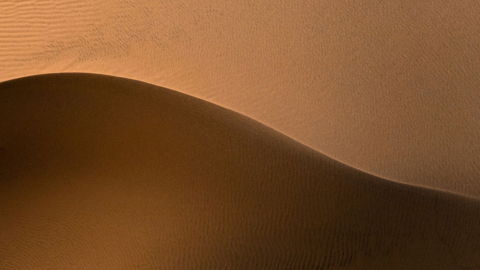 Visual chart showing male fertility parameters declining across age decades