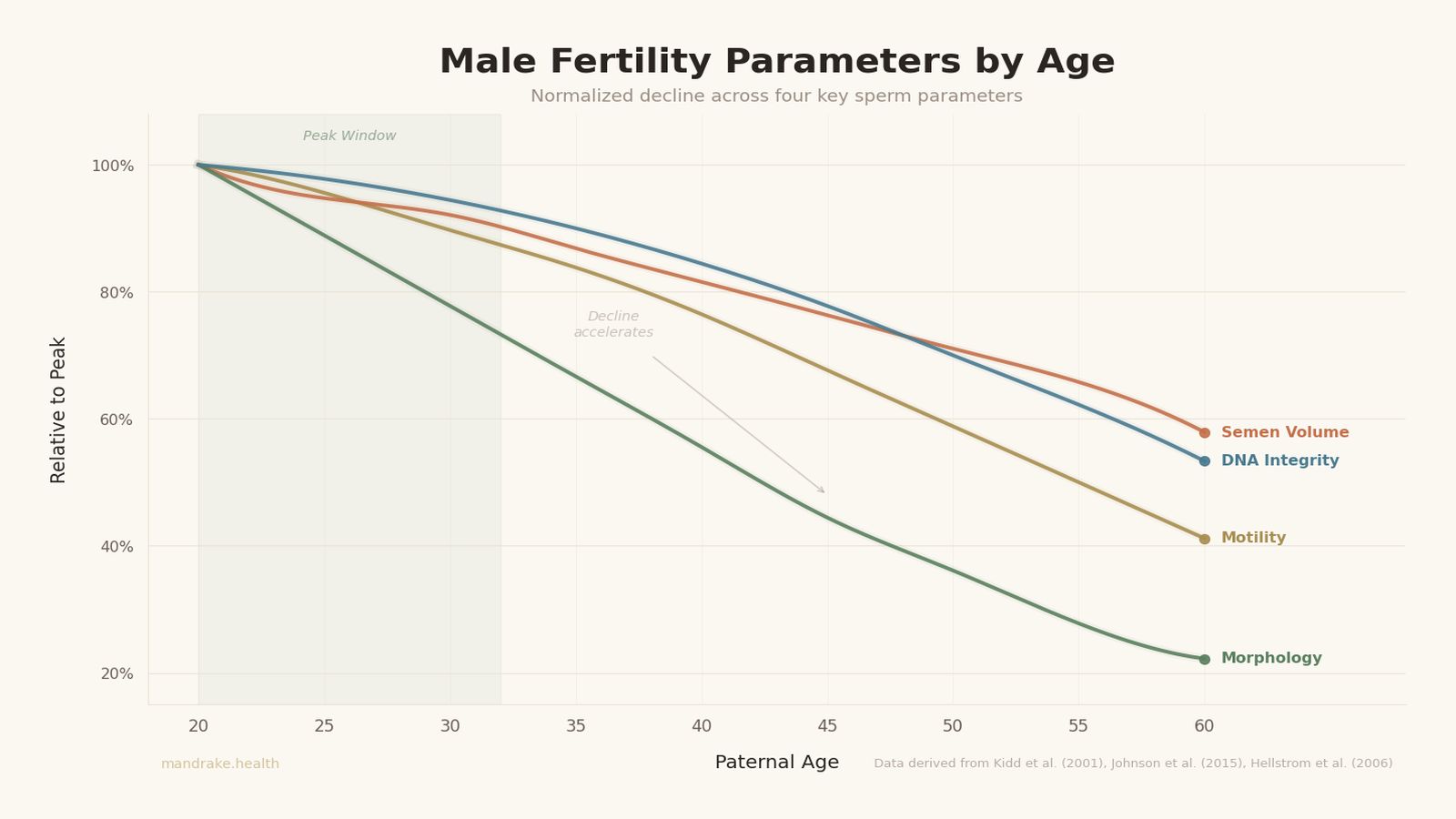 Line graph showing decline in motility, semen volume, morphology, and DNA integrity from age 20 to 60